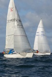 sigmara k4433 valhalla of ashton gbr2496 whyw25 sun 800_7005
